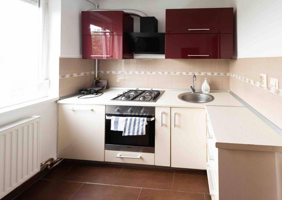 Apartament Timisoara Lejlighed Eksteriør billede